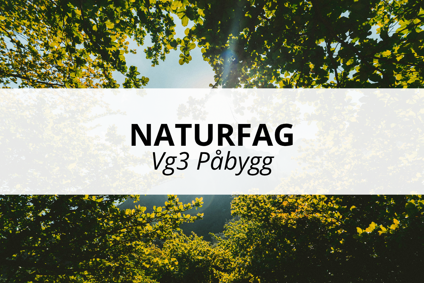 Naturfag Påbygg - Nettstudier