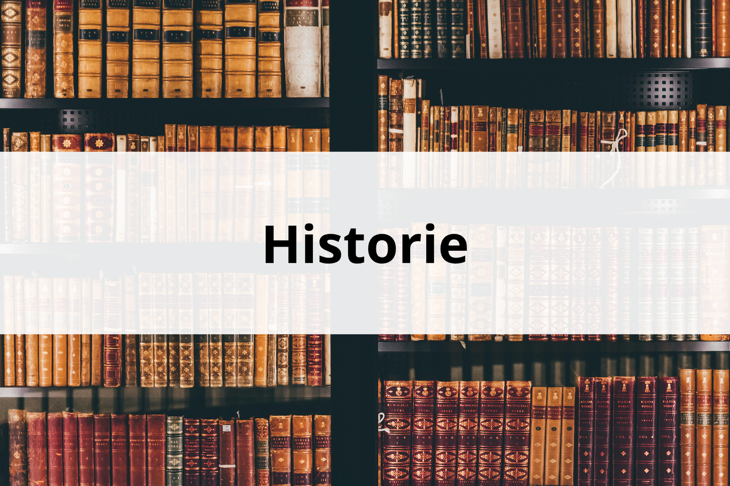 Historie - Nettstudier