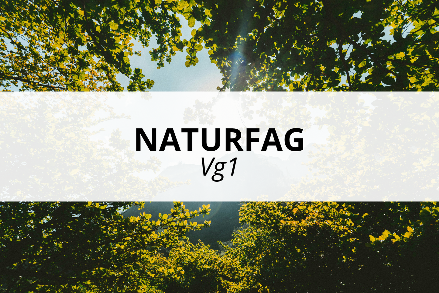 Naturfag Vg1 (inkl. lab) - klasseromskurs