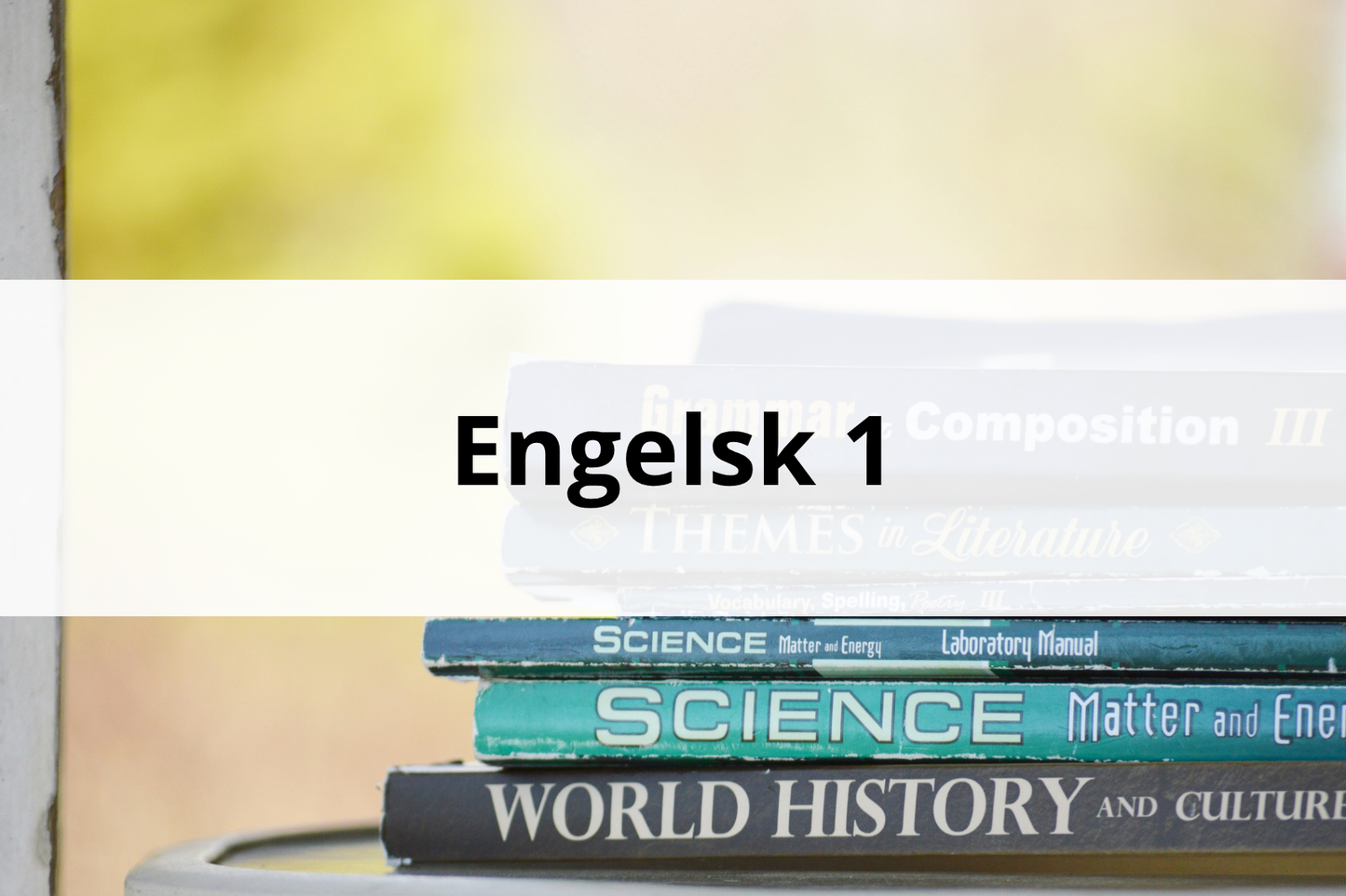 Engelsk 1 - Nettstudier