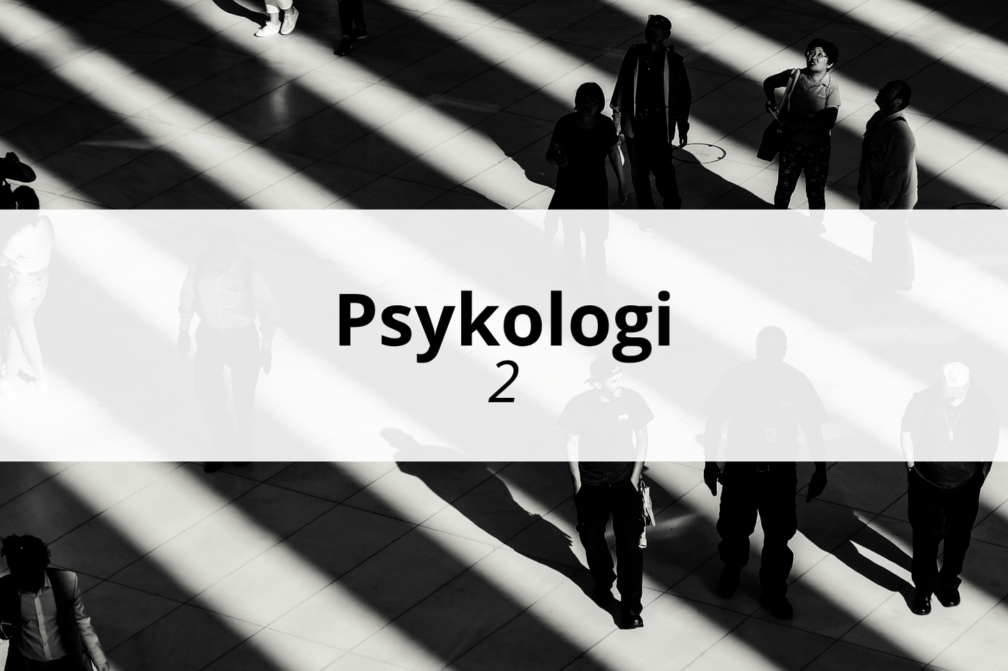 Psykologi 2 - Nettstudier